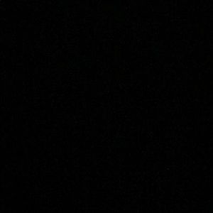 Meet your Posher, Bianca